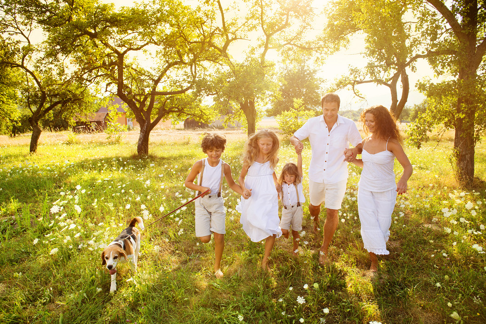 3 Reasons Why Pet Owners Are Investing in Their Pets