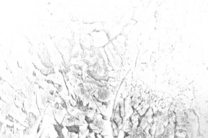 Download Royalty Free Photo Overlays l Storyblocks