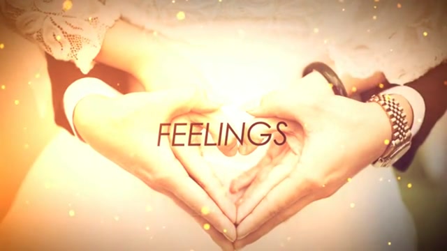 Photo Animation Templates Royalty Free Storyblocks