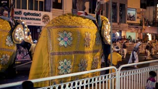 Editorial Kandy, Sri Lanka - 07.7.2016: Elephants dressed in shimmering robe taking part with dancers and drummers in Buddhist ceremony Esala Perahera, 4K