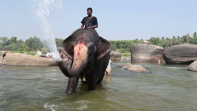 Indian Open Bath Stock Footage: Royalty-Free Video Clips - Page 3 - Storyblocks->
