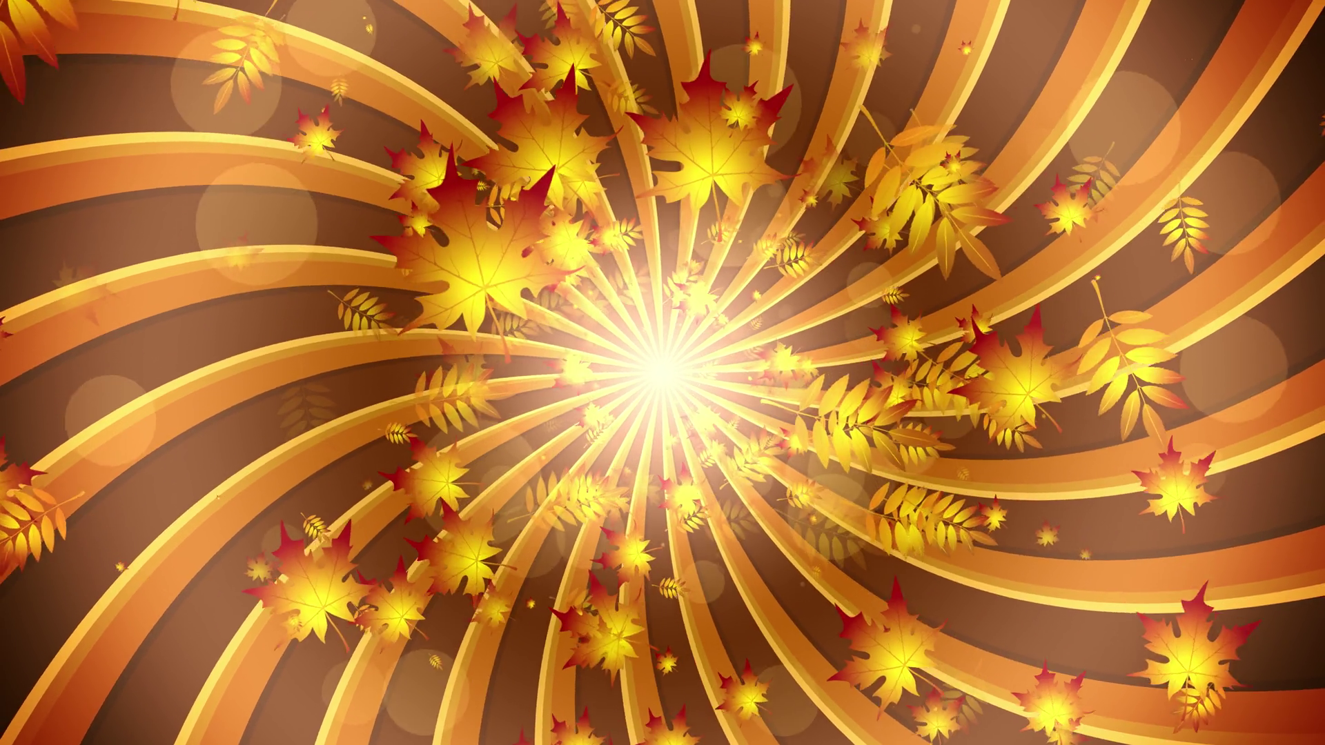 Autumn Leaves Background Animation Autumn Stock Motion Graphics SBV ...