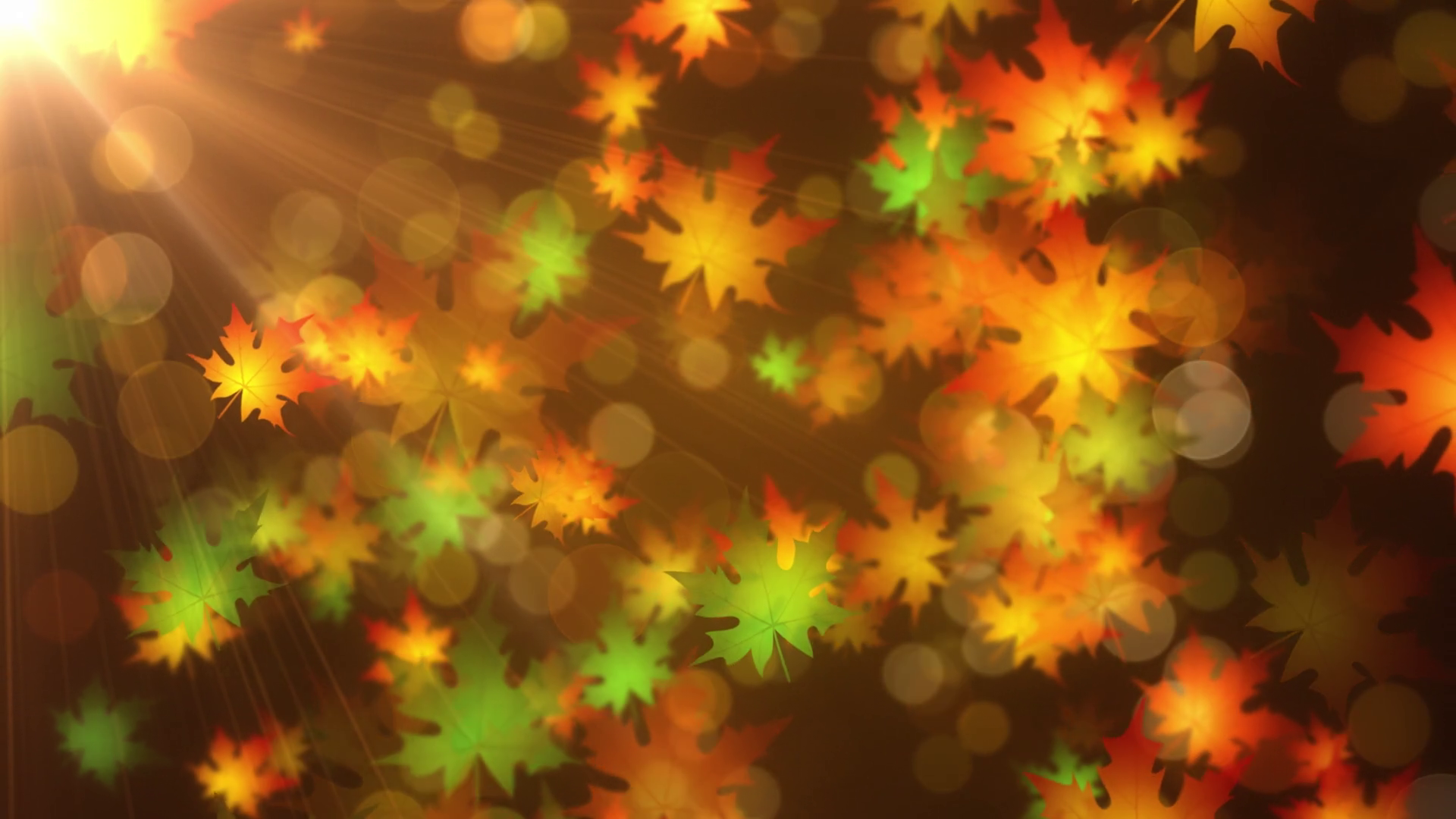 Autumn Leaves Background Animation Autumn Stock Motion Graphics SBV ...
