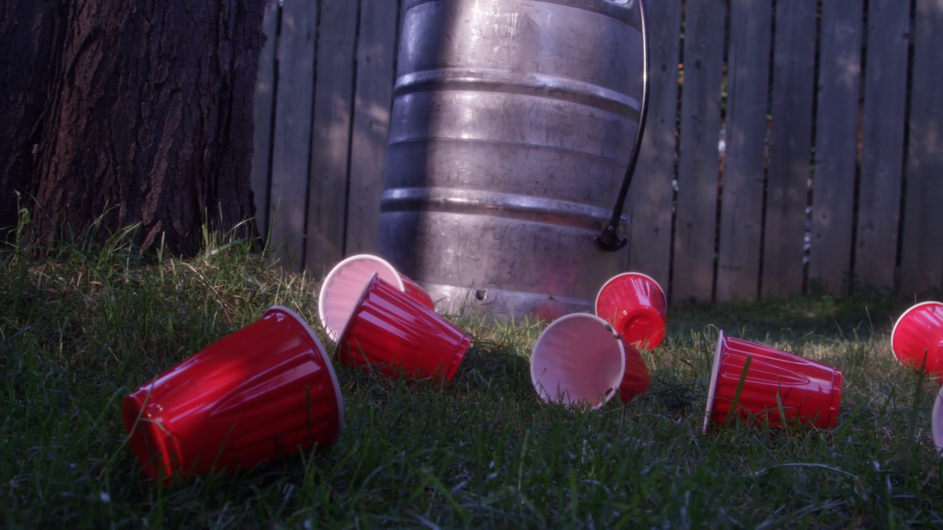 Alcohol At Party Slider Shot Reveal Keg Stock Footage SBV-352196985 ...