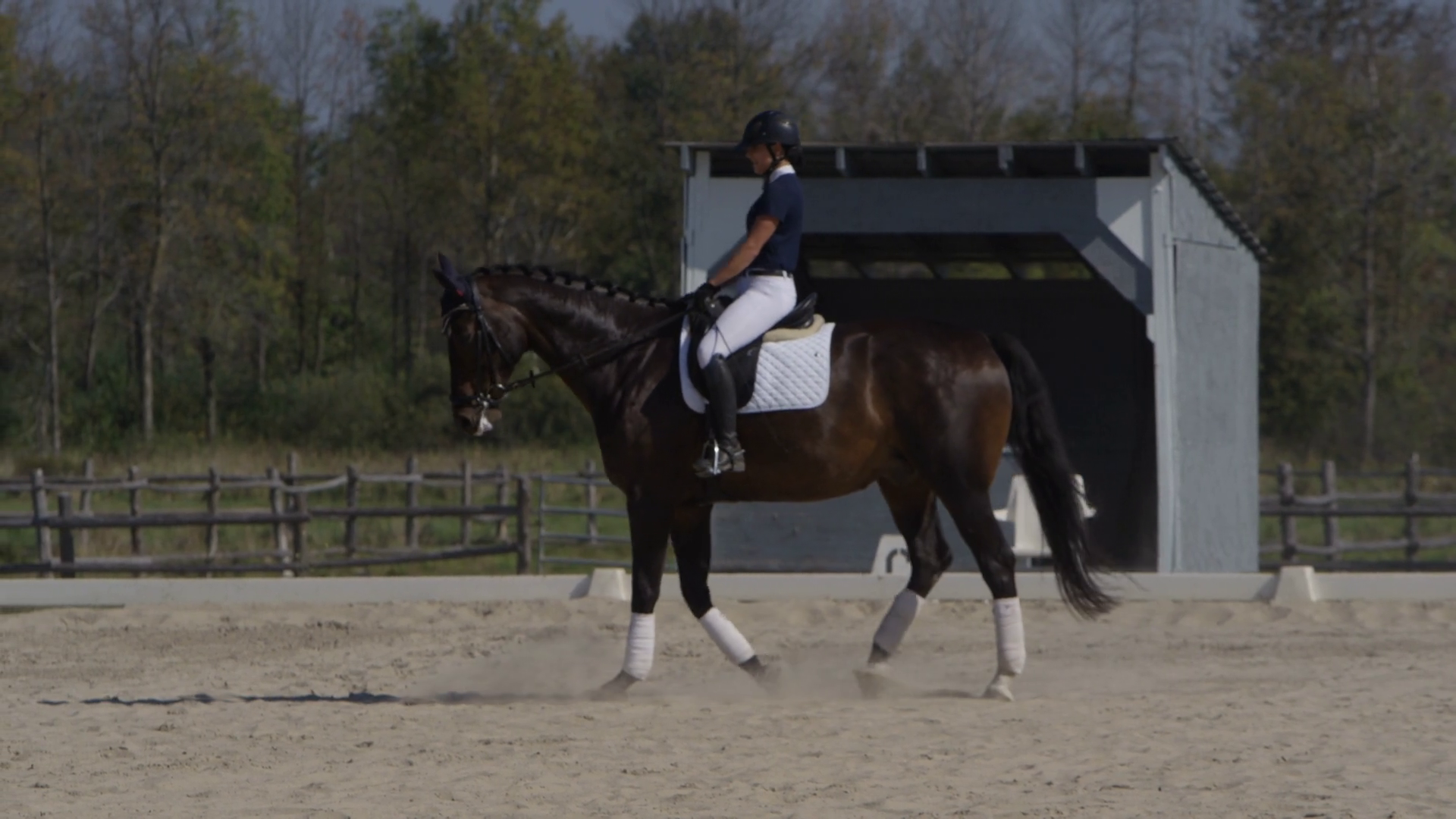 Equestrian Slow Motion Dressage Athlete Stock Footage SBV-352197301 ...