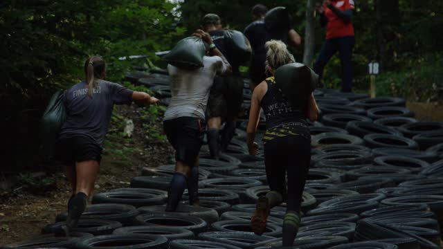 Teamwork Training Stock Footage: Royalty-Free Video Clips - Storyblocks