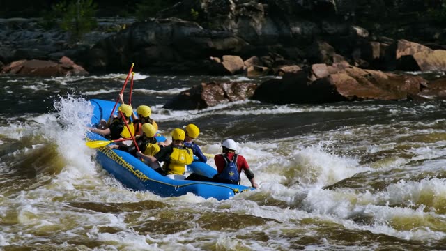 Recreational Pursuits Stock Footage: Royalty-Free Video Clips - Storyblocks