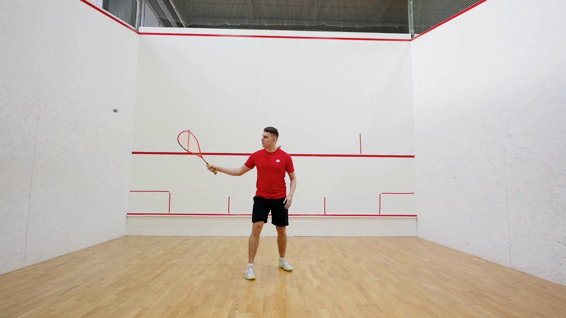 Professional squash player hits rubber ball with racket Stock Video