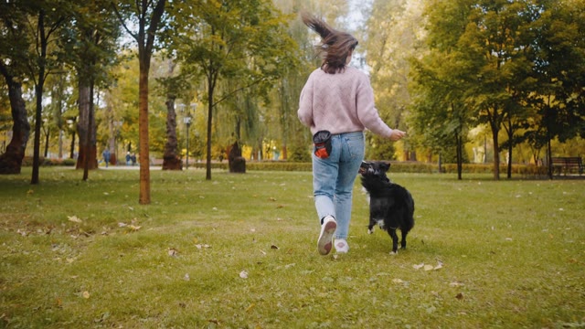 Girl Riding Dog Stock Footage: Royalty-Free Video Clips - Storyblocks