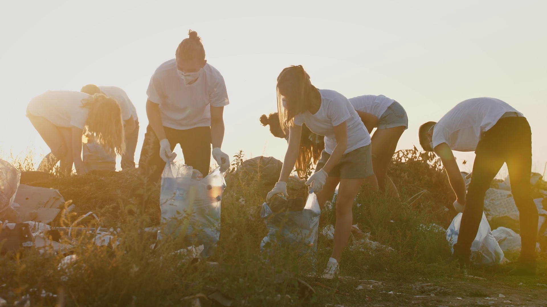 Group Of Eco Volunteers Cleaning Up Area Of Stock Footage SBV338282539