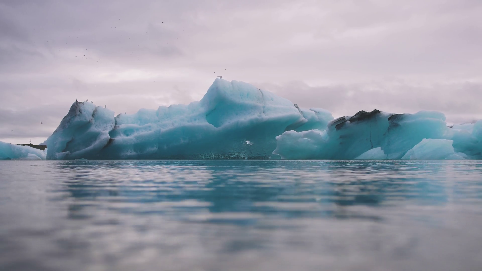 Timelapse Of Blue Icebergs Moving At Stock Footage SBV338298784