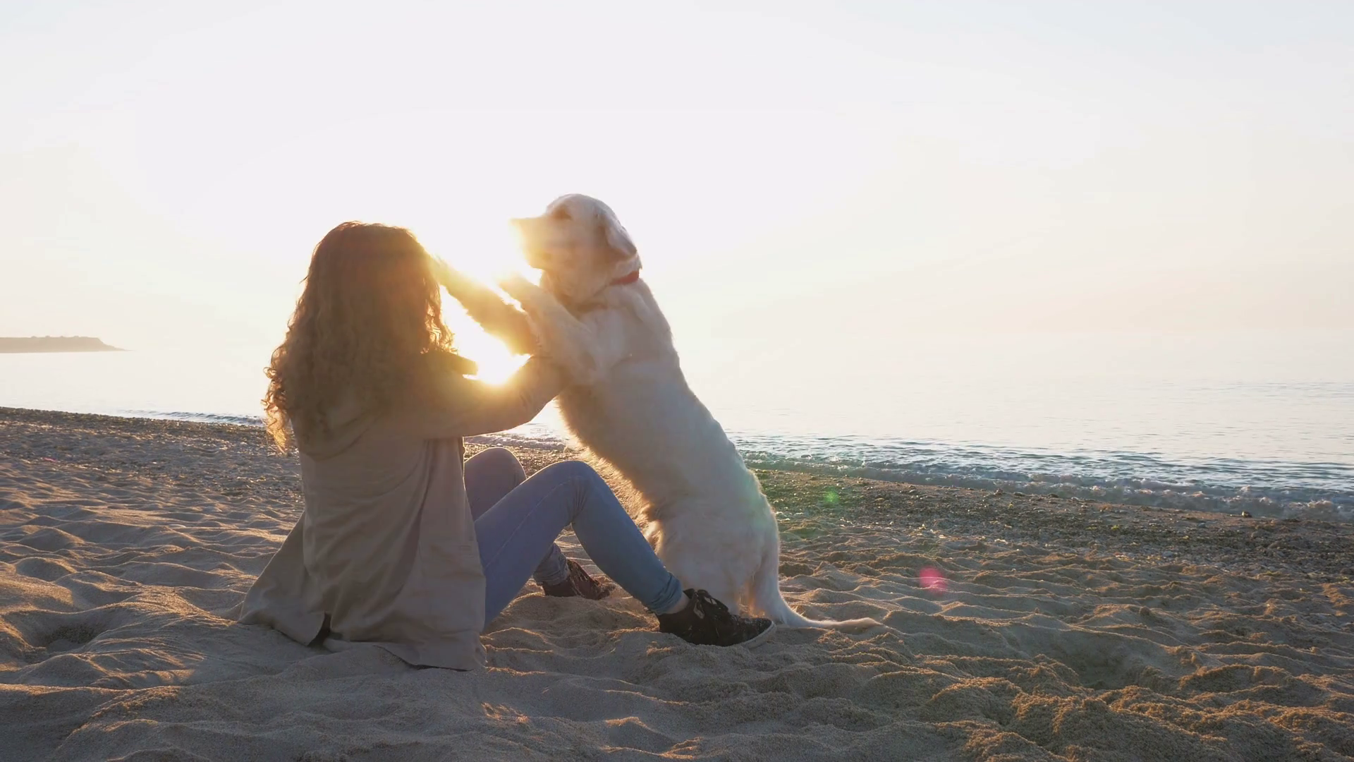 Young female with retriever dog playing on the beach during sunset or