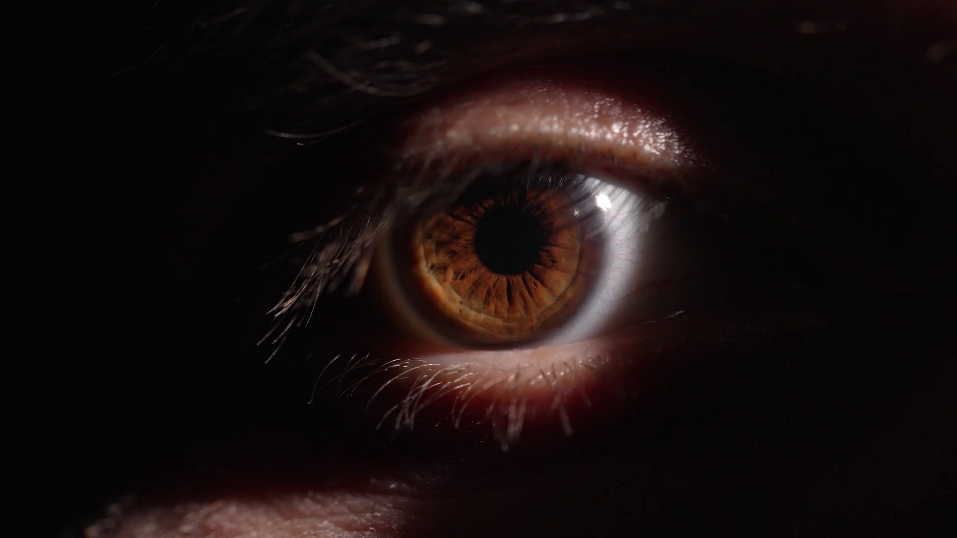 Eye of a scared man Stock Video Footage 0011 SBV346722756 Storyblocks