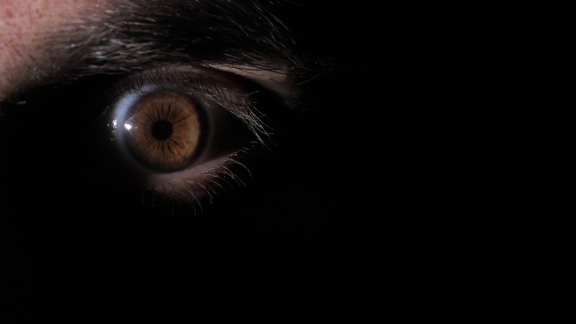 Eye Of Man In Dark Stock Footage SBV346573366 Storyblocks