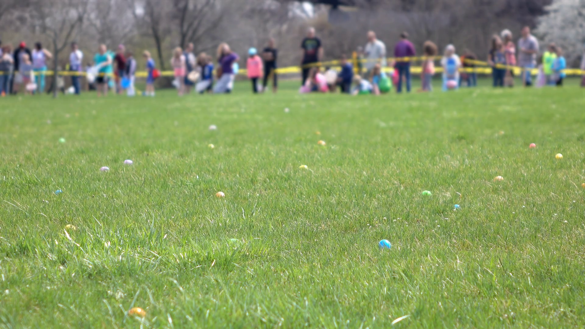 Easter Eggs In Grass Of Field During Egg Stock Footage SBV306558696