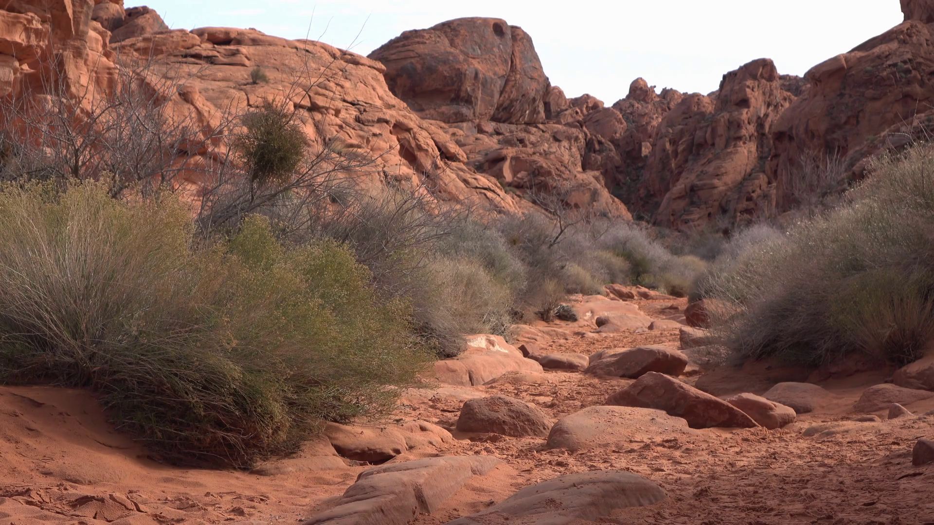 Empty trail heading into rocky mountain area on hiking path 4k Stock