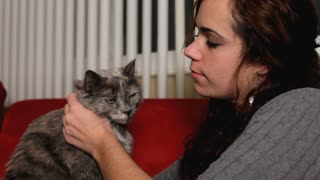 Girl petting gray cat