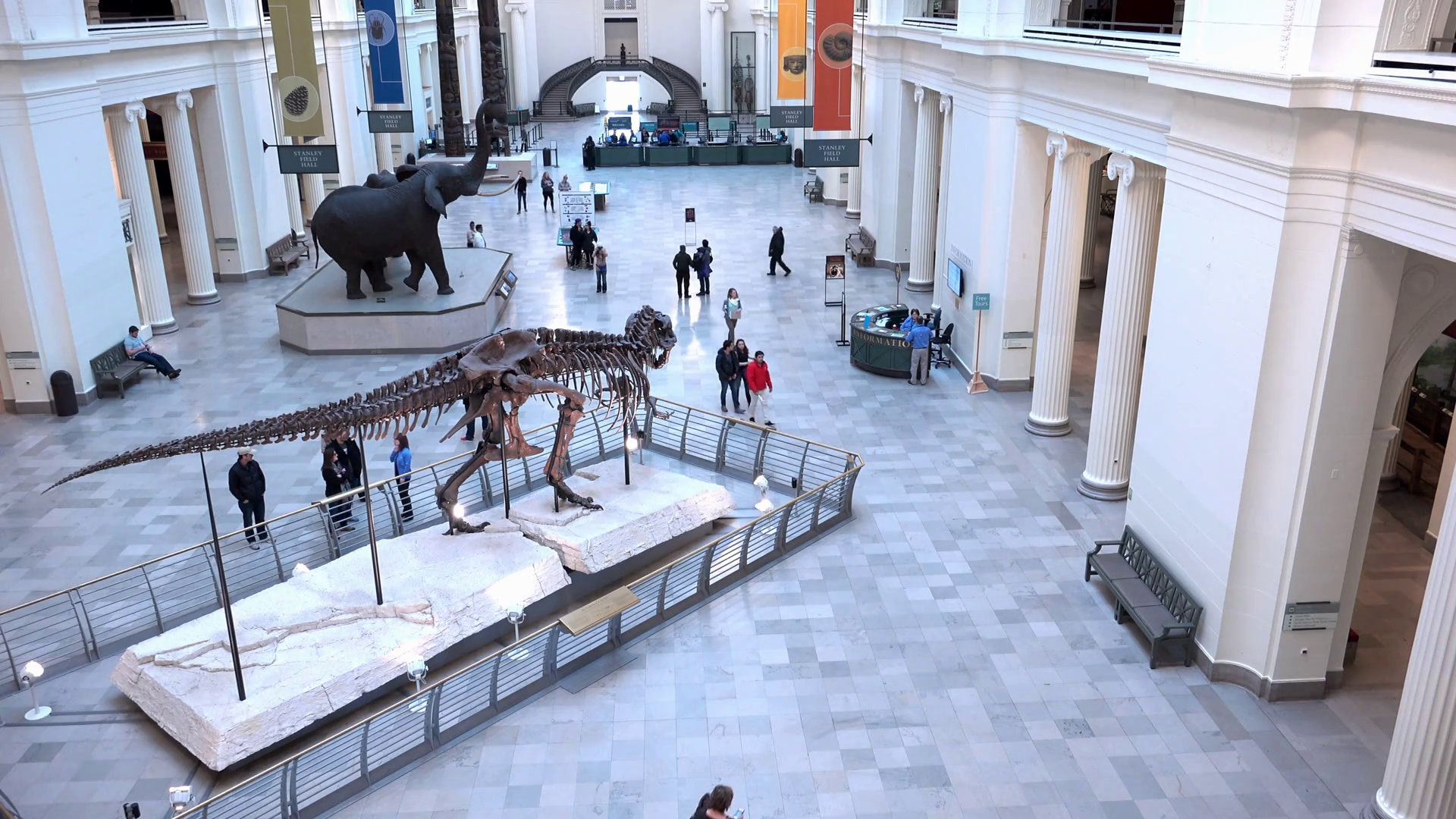 Main Foyer Of Field Museum In Chicago Stock Footage SBV301927383