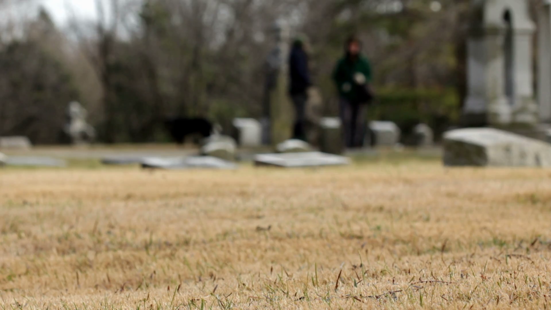 What Do You Say When You Visit A Grave In Islam