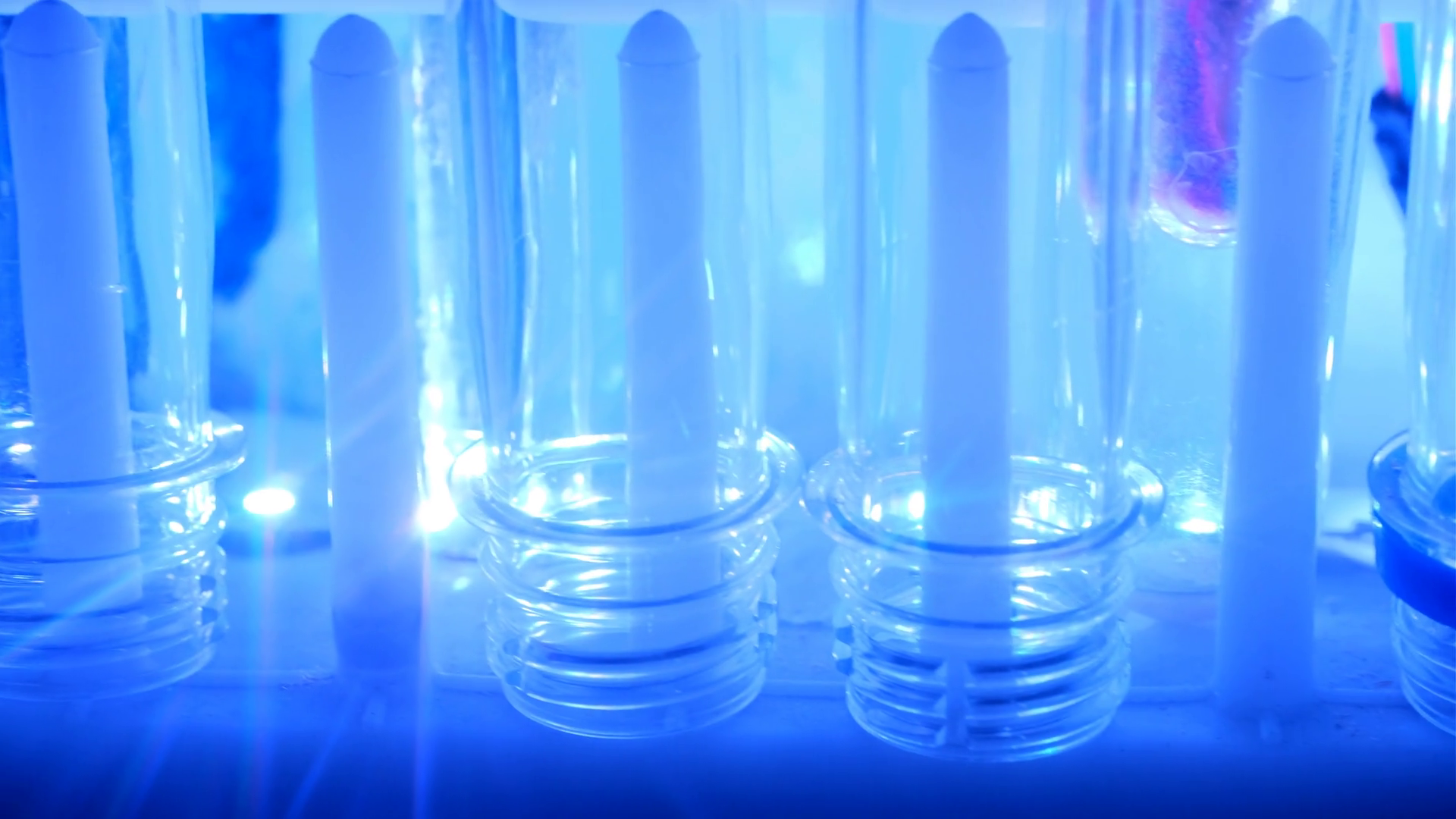 Clean Test Tubes On Drying Rack In Science Stock Footage SBV347359344