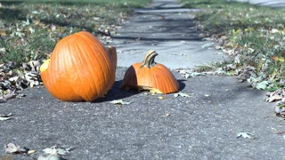 Pumpkin Smashing On Ground Of Sidewalk Slow Motion