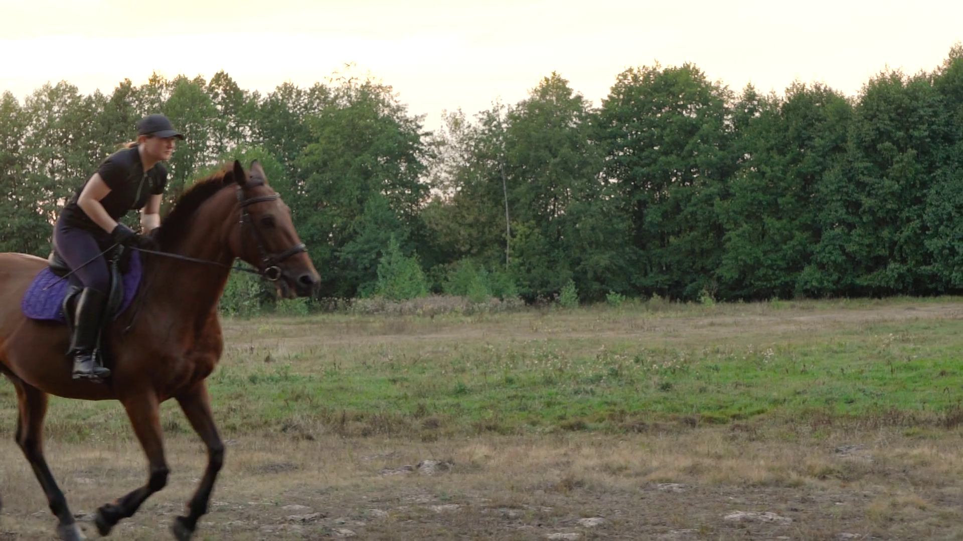 Woman riding horse by gallop. Horseback riding in slow motion. Stock