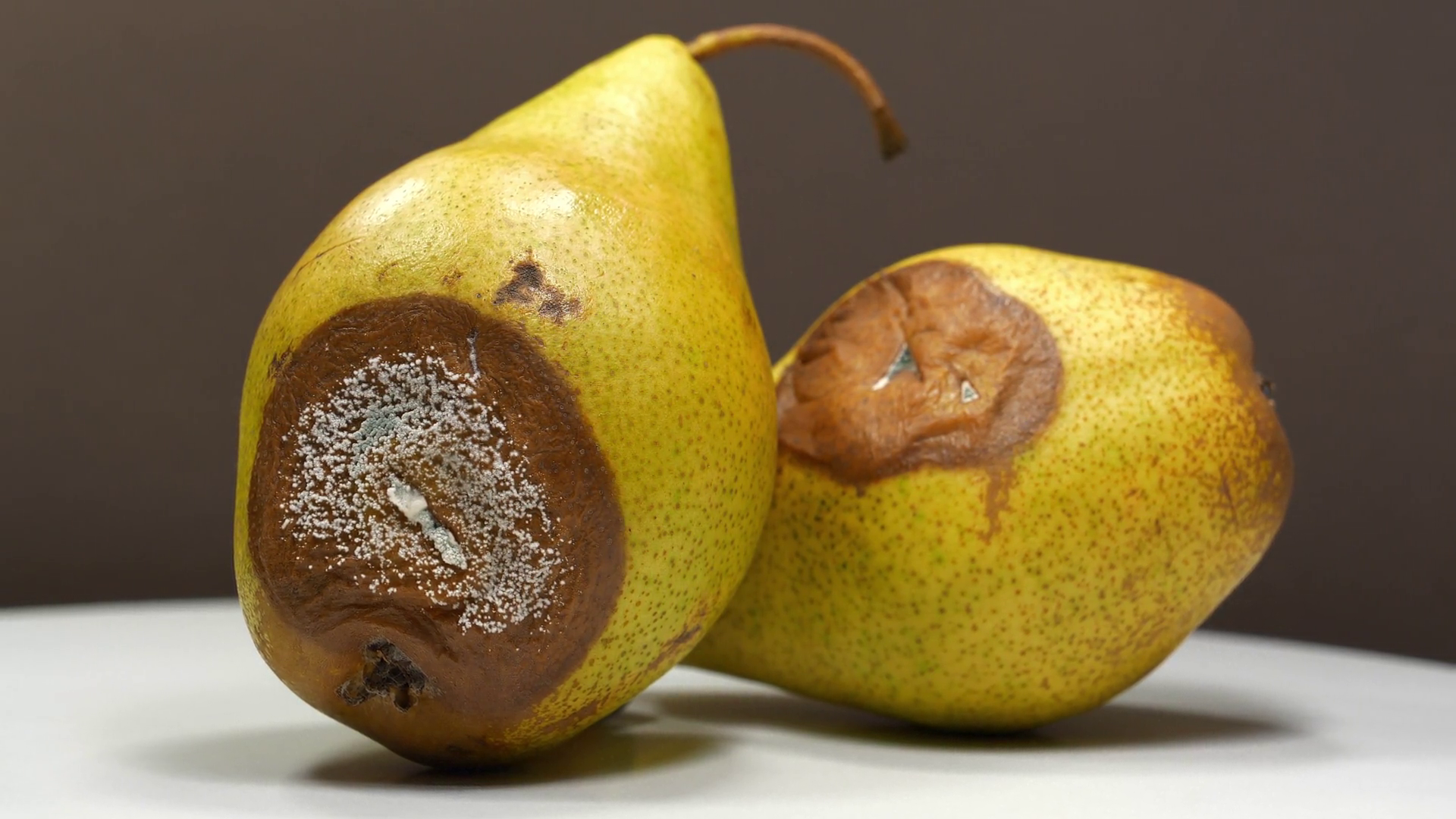Overripe Rotten Pears Two Pears Covered With Stock Footage SBV ...