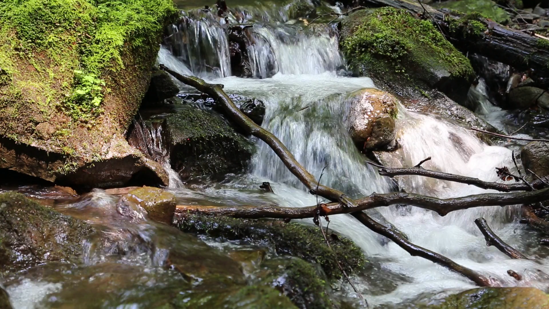 Beautiful small brook and stones with green moss. Video with sound