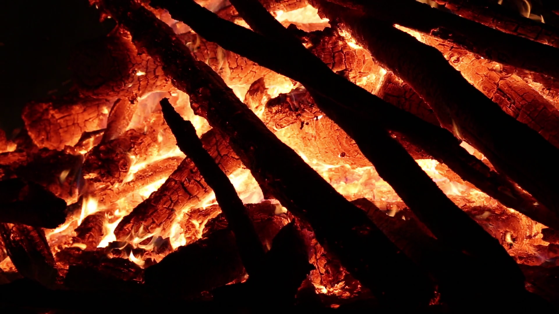 Burning firewood. Flames of bonfire Stock Video Footage 0025 SBV
