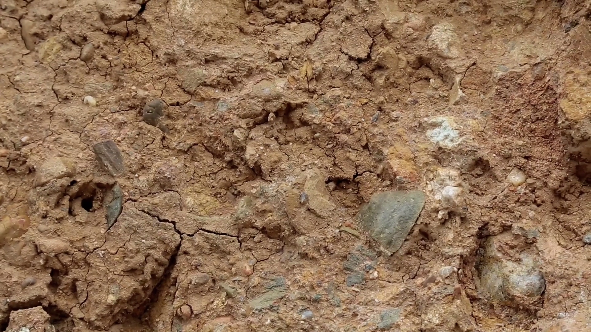 Close Up Of Yellow Soil With Cracks Stock Footage SBV304867654