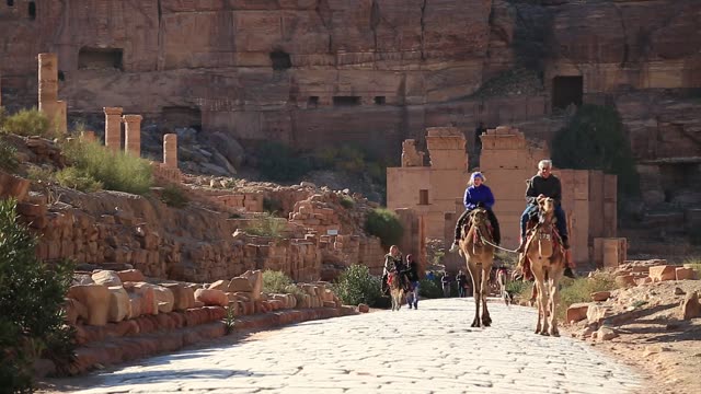 Ancient City | Animals stock footage - Storyblocks