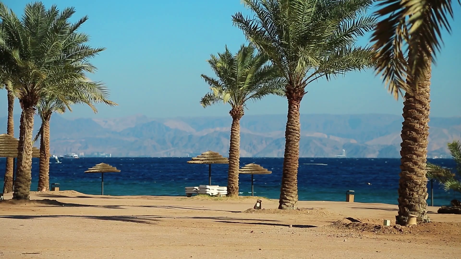 Palms on the beautiful beach. Tropical resort in Tala Bay ...