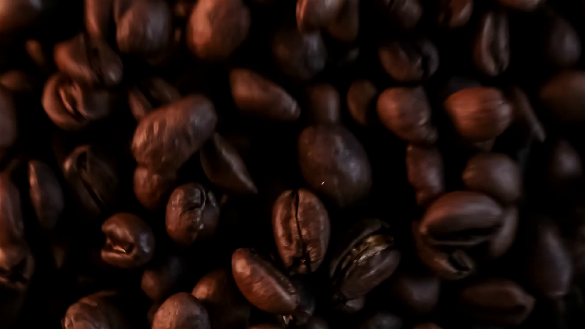 Fresh Roasted Dark Coffee Beans Exploding In Stock Footage SBV
