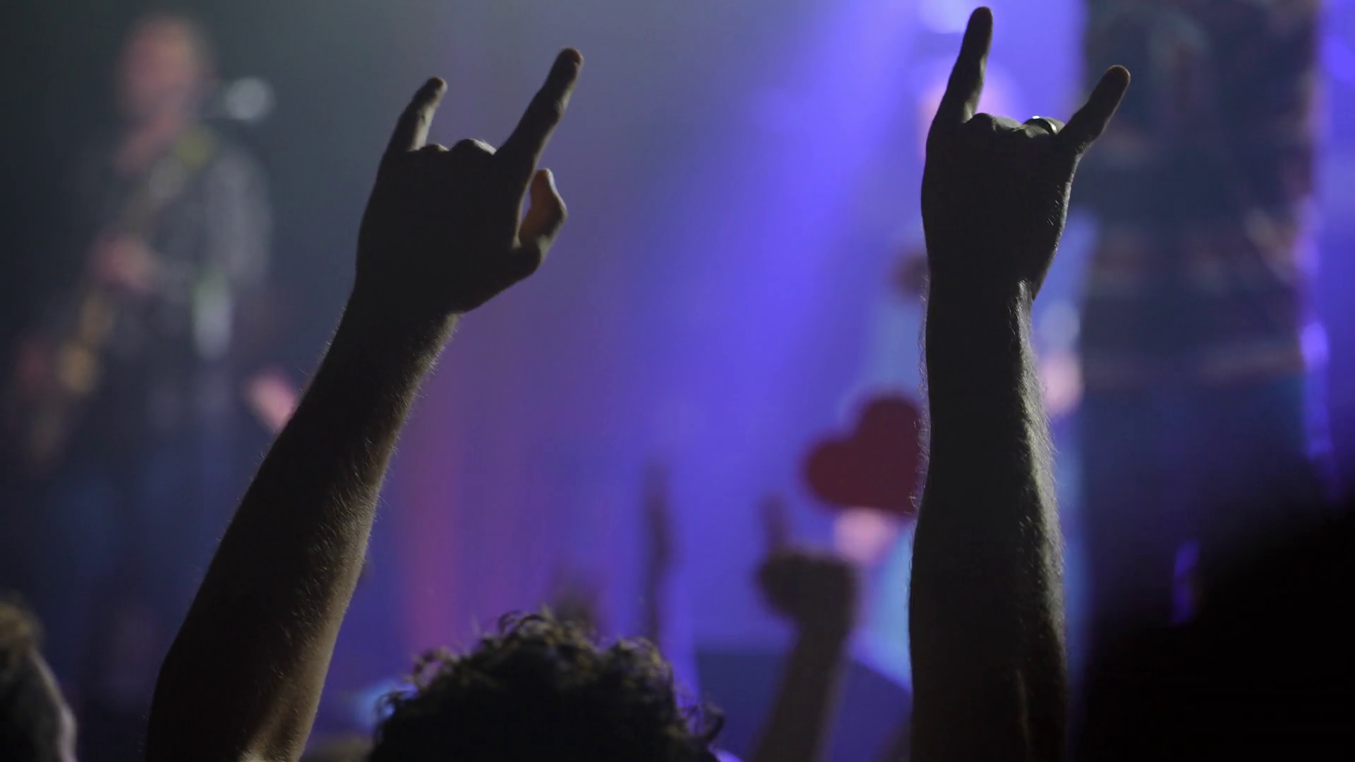 Rock Roll Fans Expressing Intense Excitement Stock Footage SBV ...