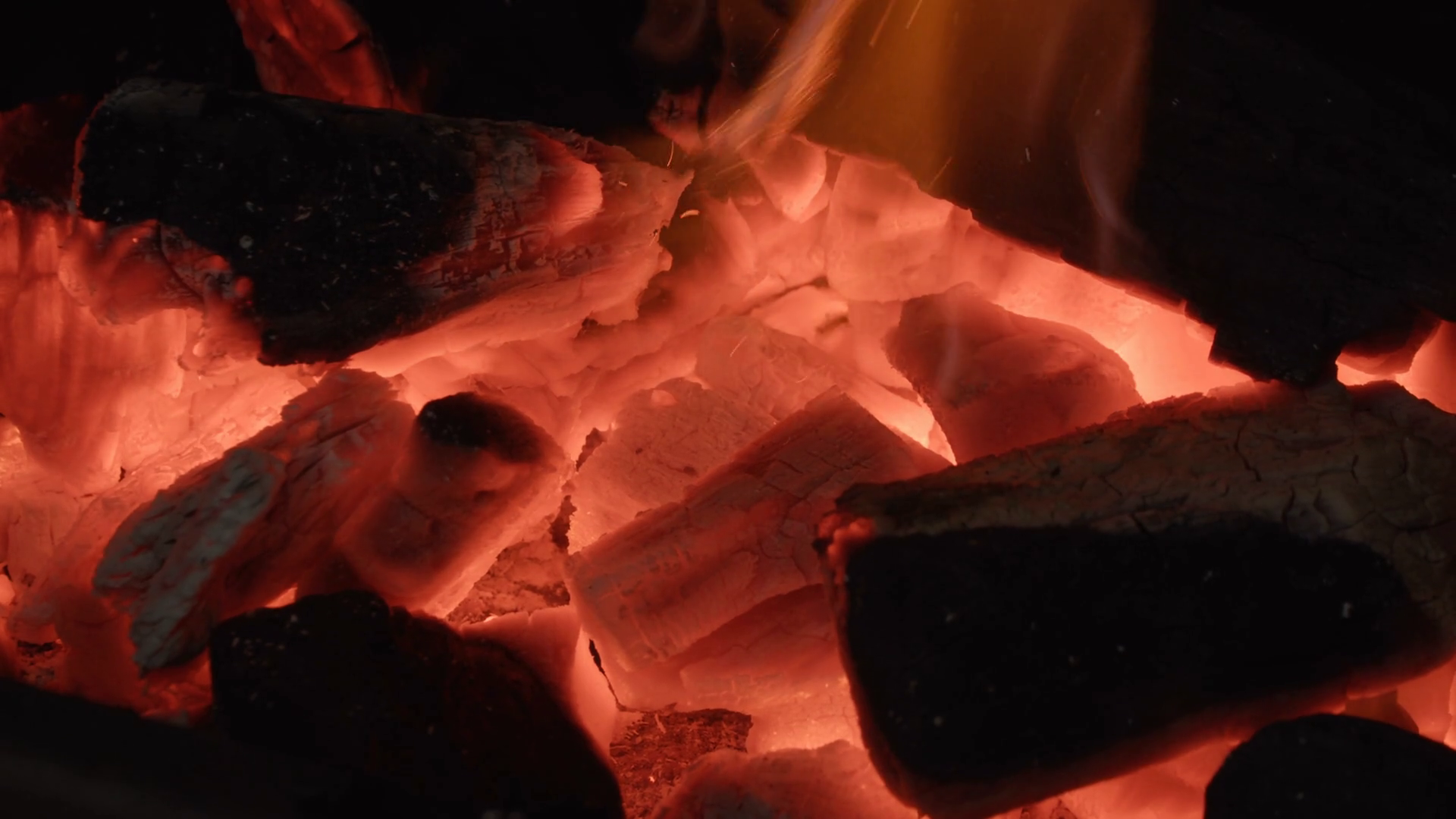 Macro Shot Of Charcoal Burns In Slow Motion Stock Footage SBV347458783