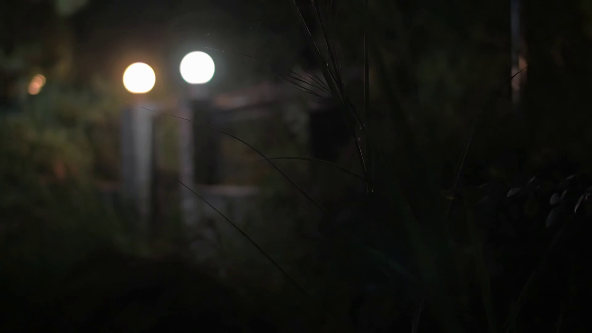 House Gates With Lit Sphere Lanterns At Night Gloomy Place Grown Over 