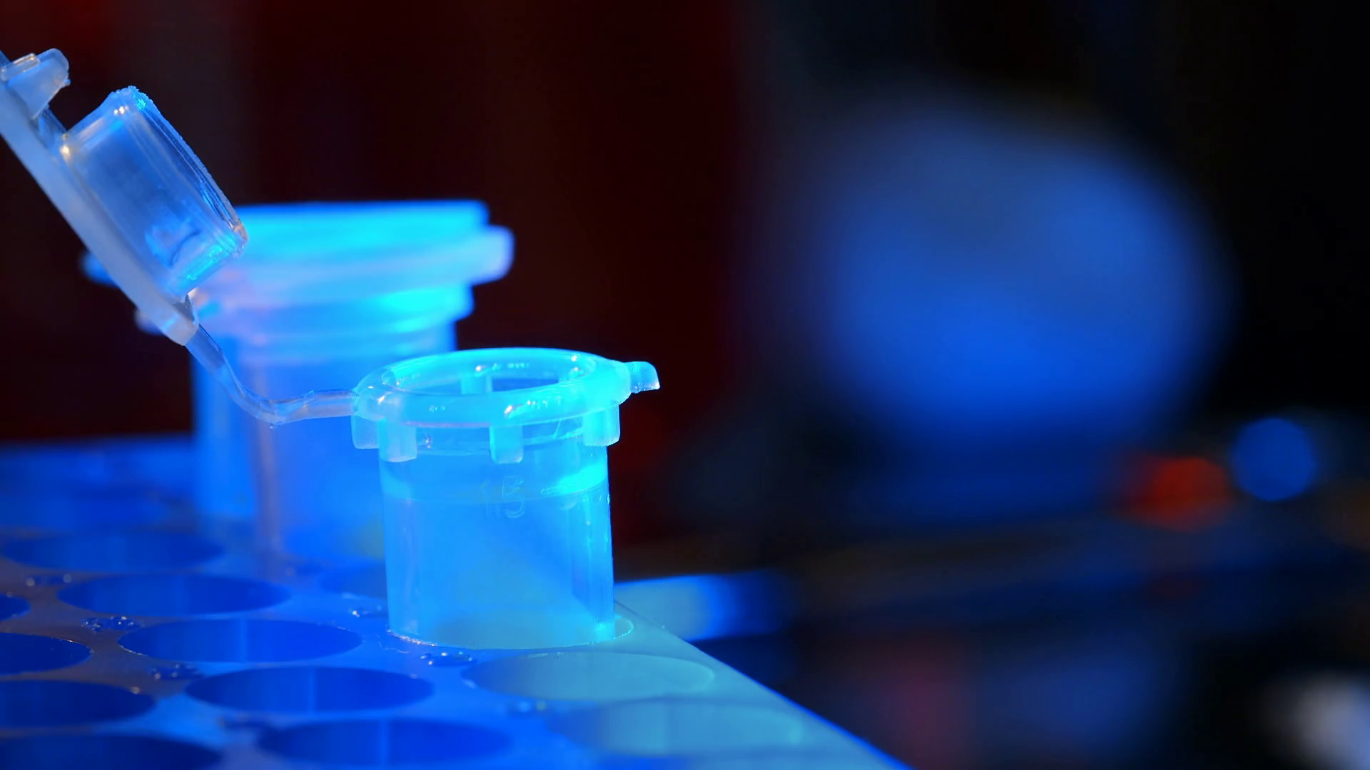 macro shot of CSI or lab tech putting sample in a vial Stock Video
