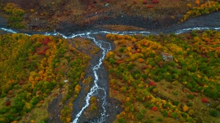 Aerial View Of Multi Color Forest And Small River In Fabulous Valley