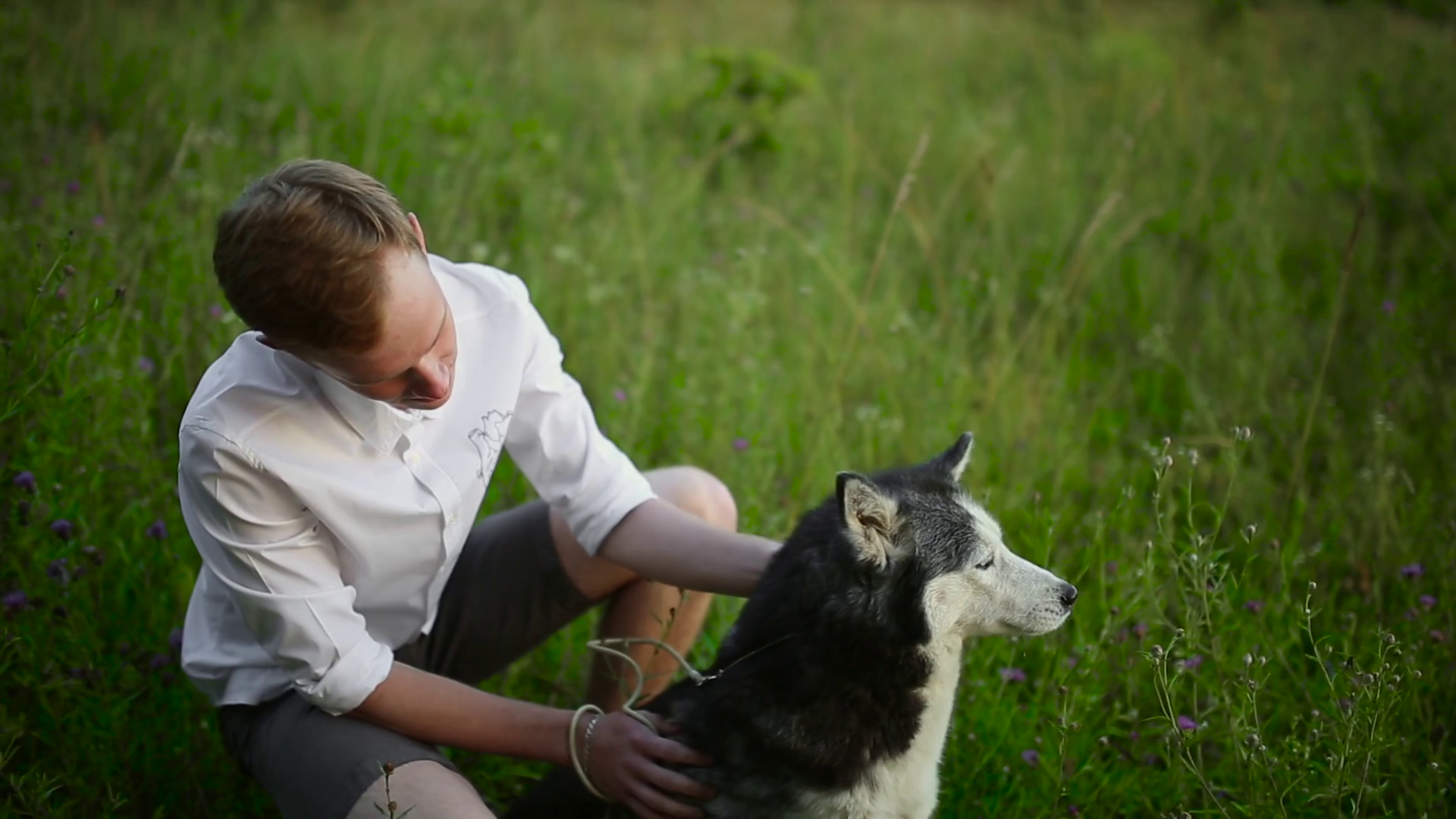 videoblocks-man-and-dog-siberian-huskies-concept-asian-young-man-with-his-dog-on-meadow_rrt-r_xlw_thumbnail-1080_01.png