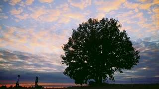 Romantic Sunset Kiss in a Field