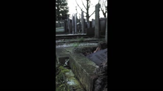Gloomy old jewish cemetery gravestones moving shot
