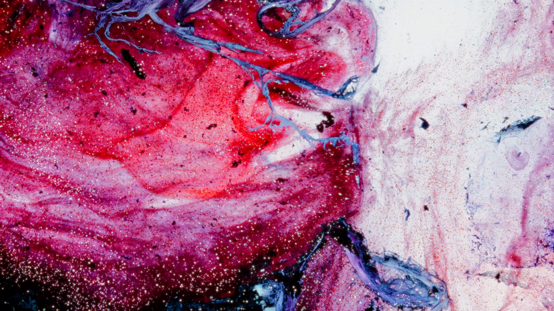 Detailed Macro Of Ink Mixing In Fluid Medium Stock Footage SBV ...