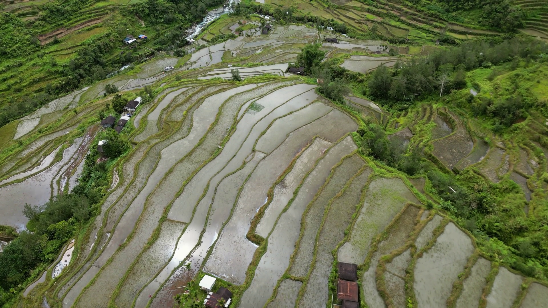 Aerial View Of Picturesque Rice Terraces In Stock Footage SBV-351974834 ...