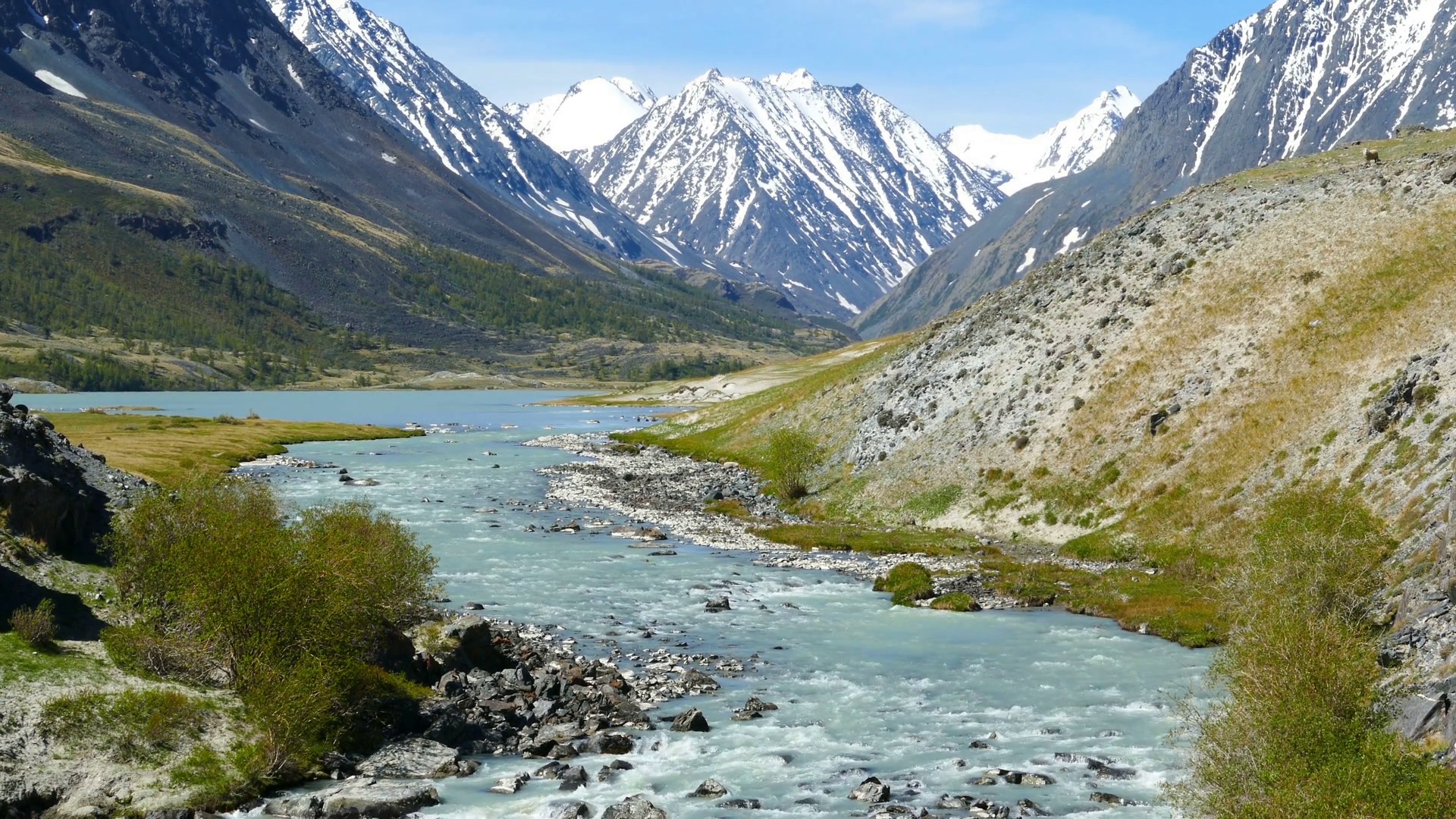 Mountain Landscape With River In Altay Russia Stock Footage SBV ...