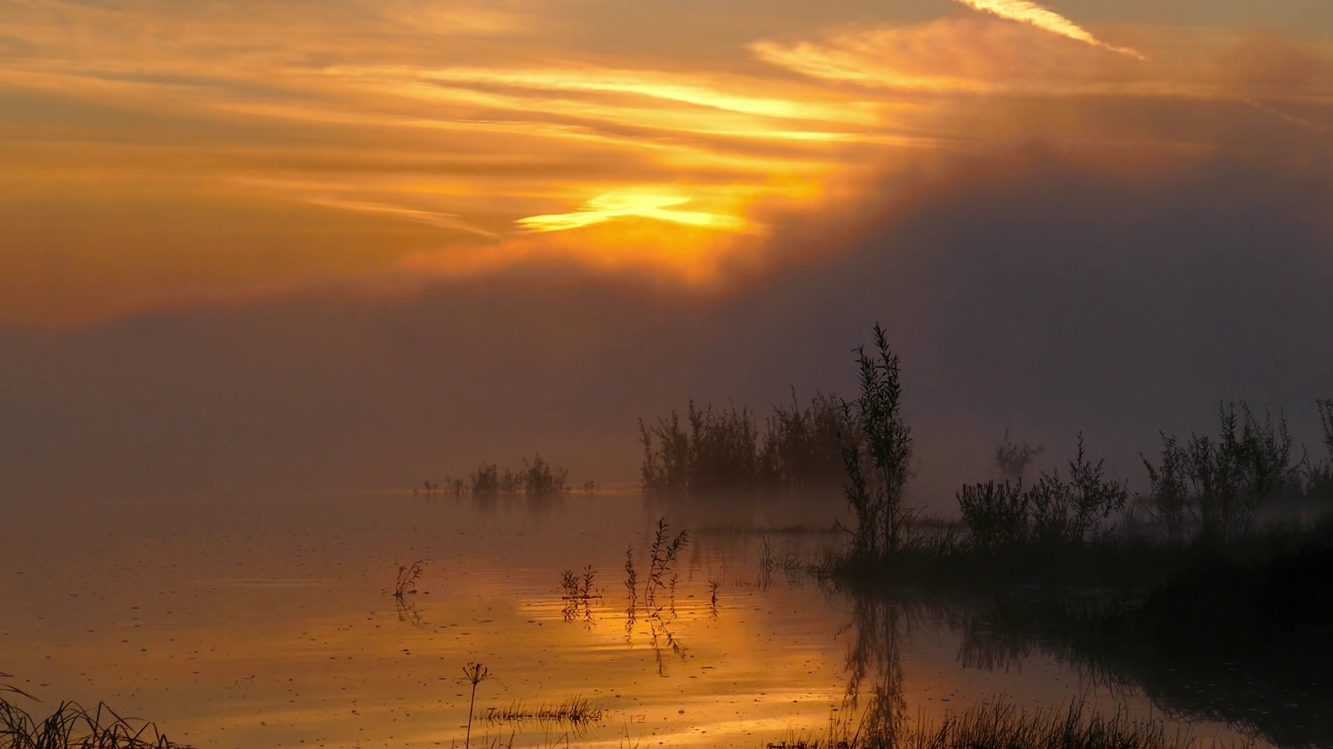 Landscape With Sunrise On River In Fog Stock Footage SBV-347839241 ...