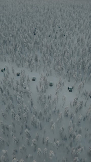 Explore the beauty of Akaslompolo, Lapland, Finland, where snow-covered trees stretch endlessly.