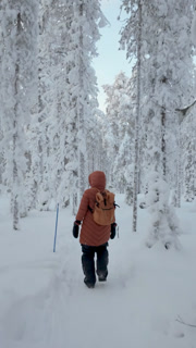 Enjoy a peaceful wander through the snow-covered forests of Akaslompolo, where frost-kissed trees create a magical winter landscape