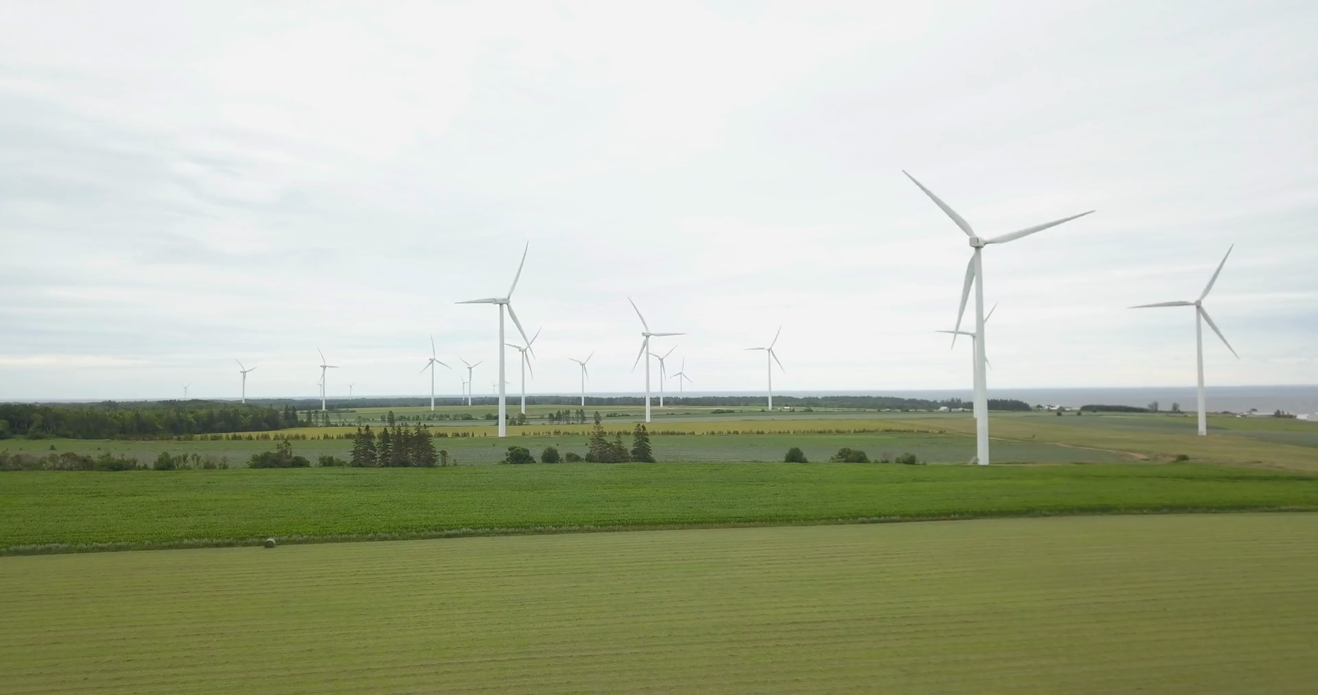 Dozens Of Wind Turbines Spinning In Green Stock Footage SBV347706120