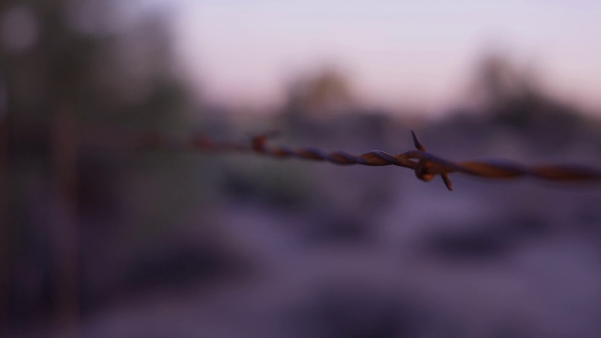 Moving Down Individual Spikes In Barbwire Stock Footage SBV-351907230 ...