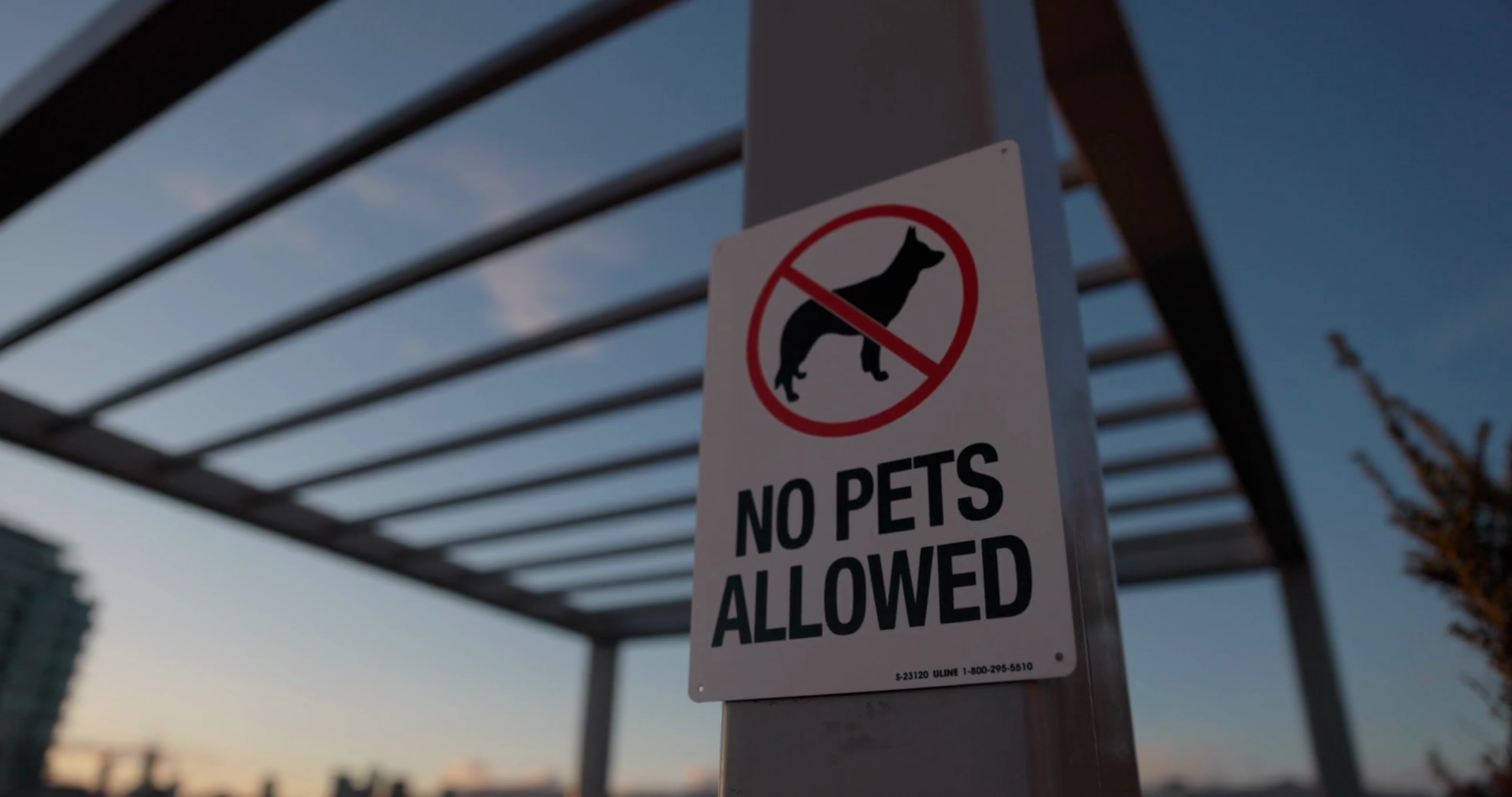 No Pets Allowed Sign At Condo Apartment Stock Footage SBV347754372